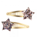 Star Hair Clips (set Of 2)